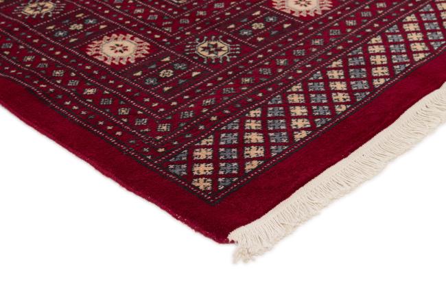 Pakistan Buchara 2ply - 3