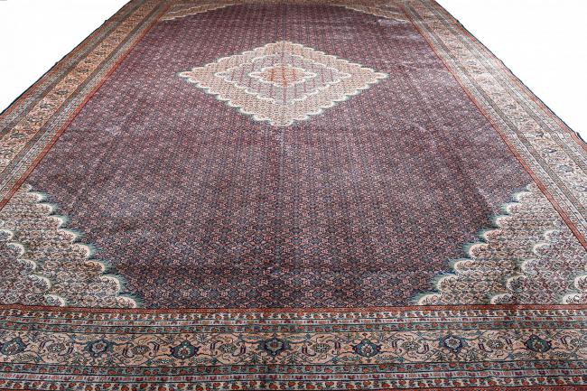 Tabriz Mahi - 7