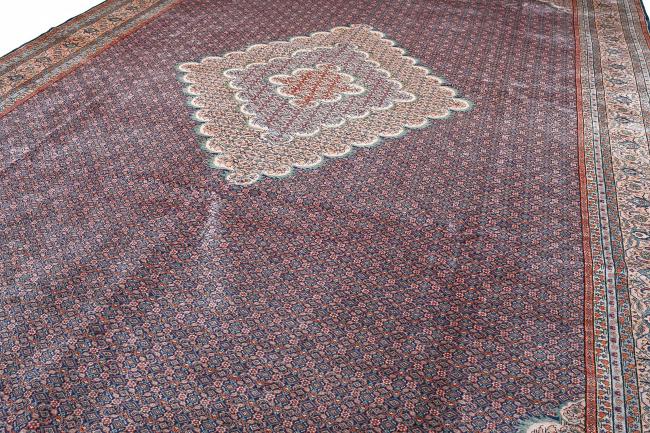 Tabriz Mahi - 9