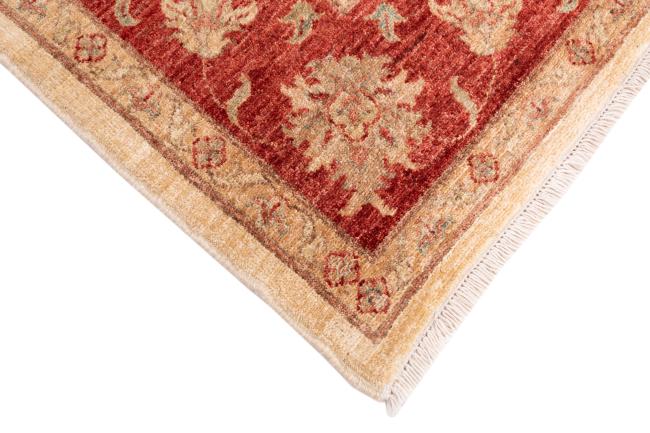 Ziegler Farahan - 5