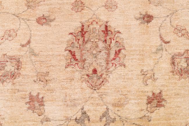 Ziegler Farahan - 8