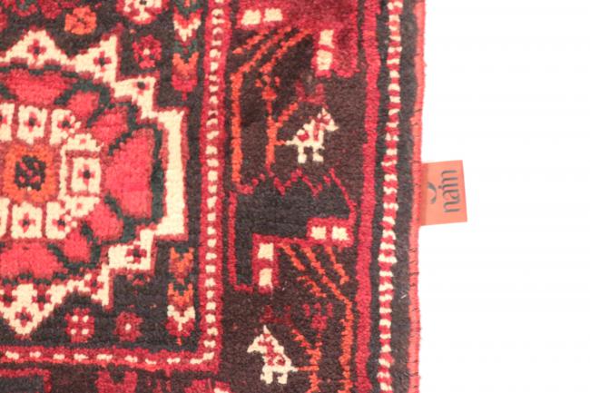 Shiraz - 5