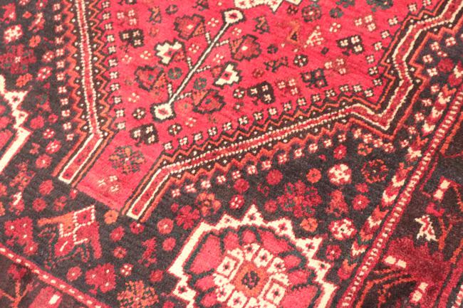 Shiraz - 6