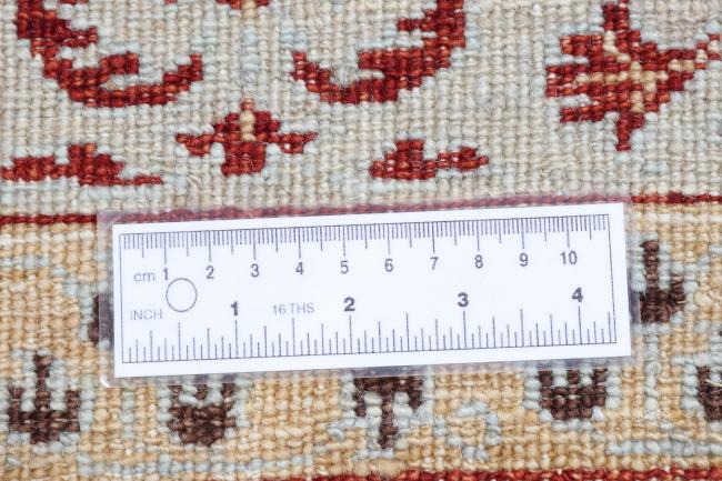 Ziegler Farahan - 10