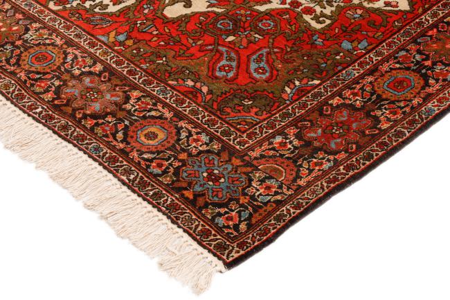 Sarough Farahan Velho - 5