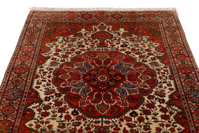 Sarough Farahan Velho - 7