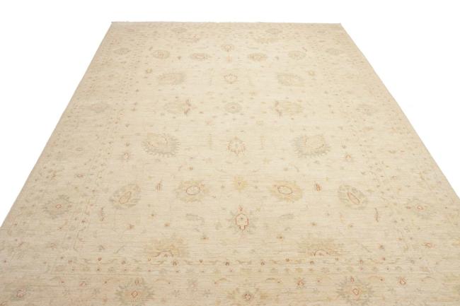 Ziegler Farahan - 5