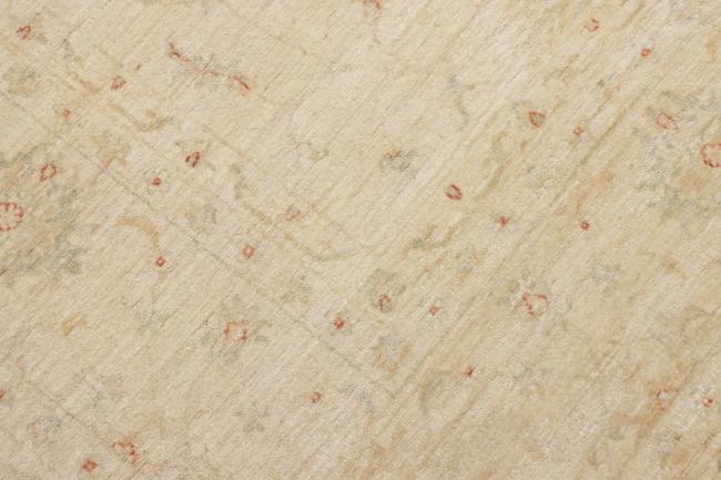 Ziegler Farahan - 7
