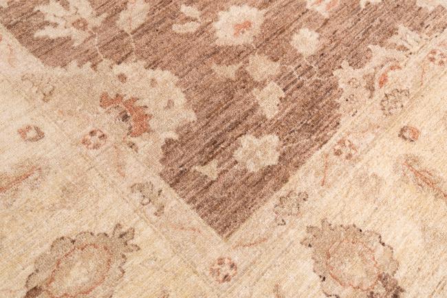 Ziegler Farahan - 6