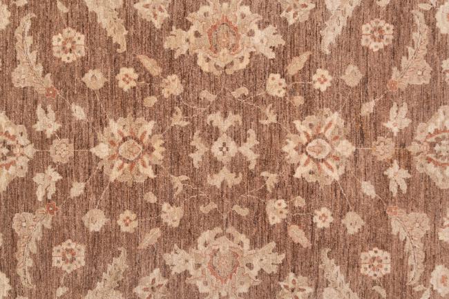Ziegler Farahan - 8
