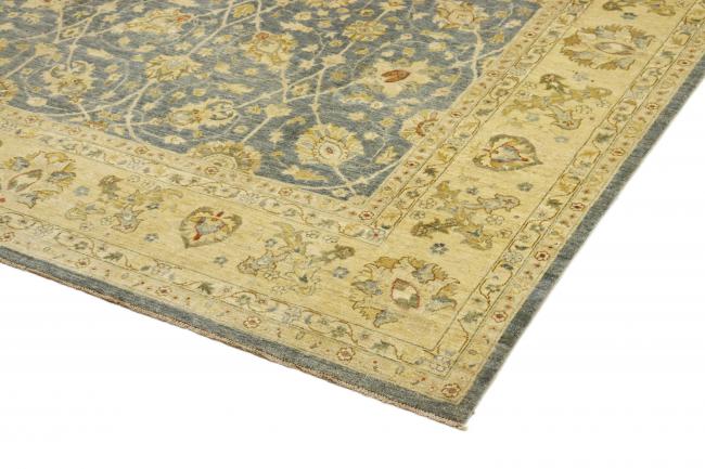 Ziegler Farahan - 3