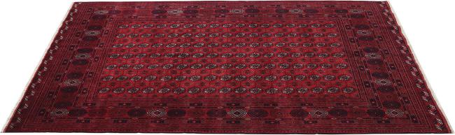 Afghan Mauri - 2