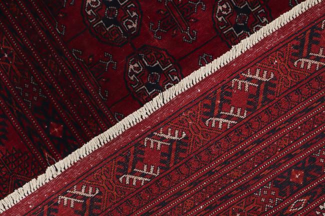 Afghan Mauri - 3