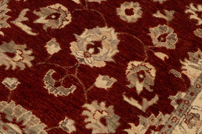 Ziegler Farahan - 4