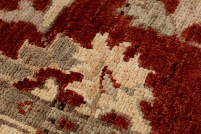 Ziegler Farahan - 10