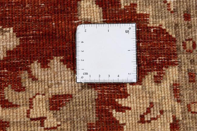 Ziegler Farahan - 11