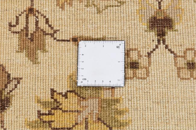 Ziegler Farahan - 11
