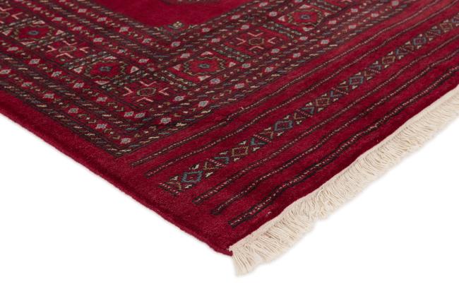 Pakistan Buchara 3ply - 3