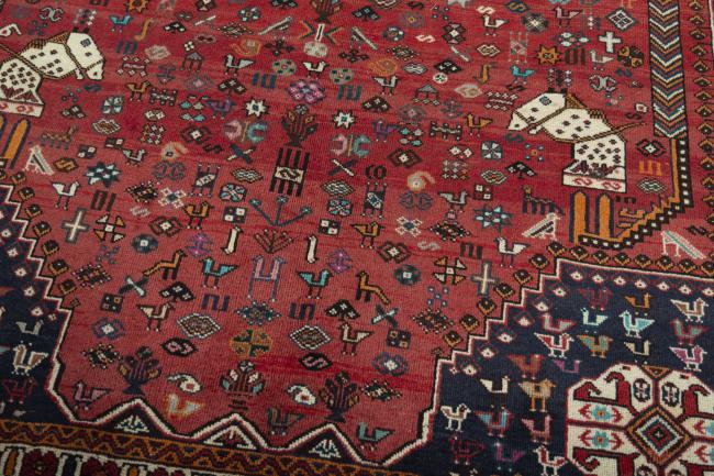 Shiraz - 6