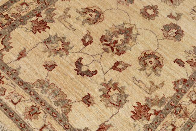 Ziegler Farahan - 4