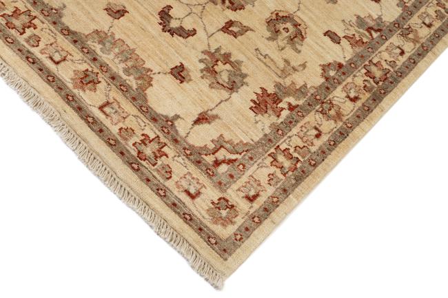 Ziegler Farahan - 5