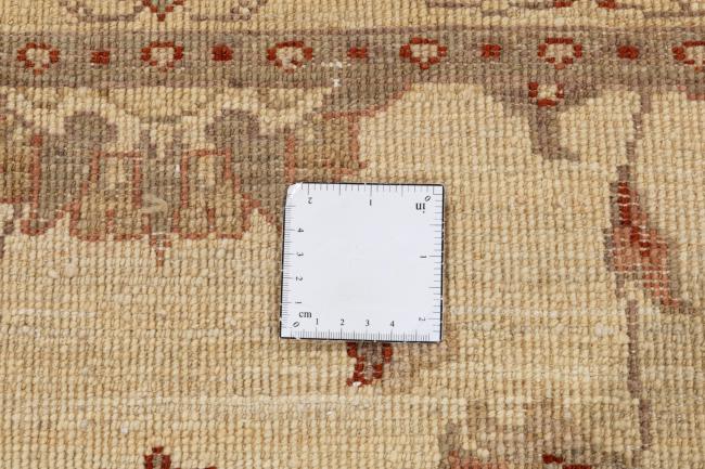 Ziegler Farahan - 12