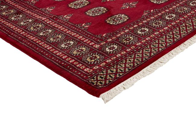 Pakistan Buchara 2ply - 3