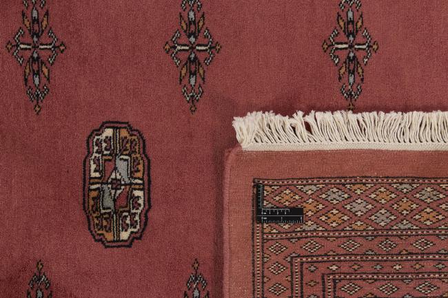 パキスタン Buchara 3ply - 1