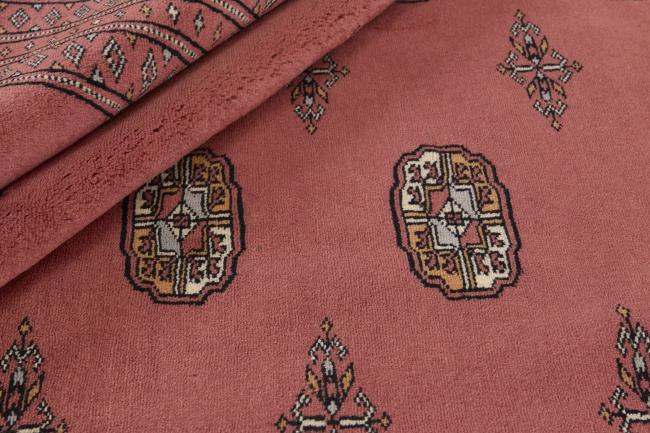 パキスタン Buchara 3ply - 2