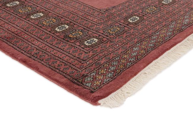 パキスタン Buchara 3ply - 3