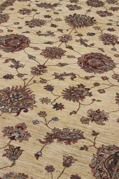 Ziegler Farahan - 1