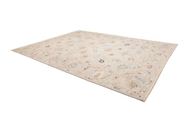 Ziegler Farahan - 2