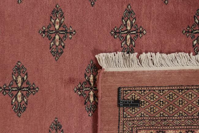 パキスタン Buchara 3ply - 1