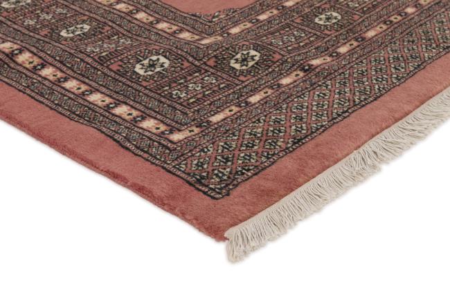 パキスタン Buchara 3ply - 3