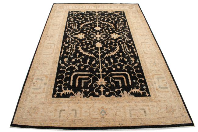Ziegler Farahan - 4