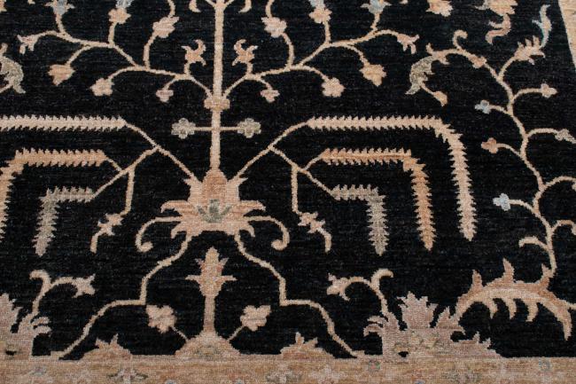 Ziegler Farahan - 6