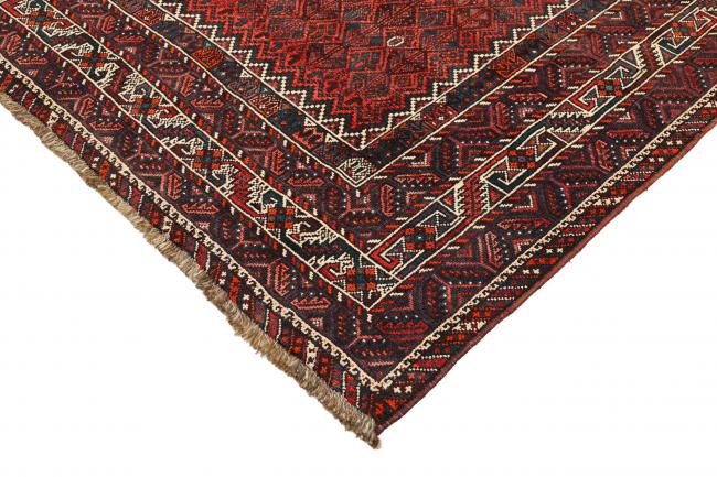 Shiraz - 5