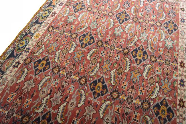 Shiraz - 5