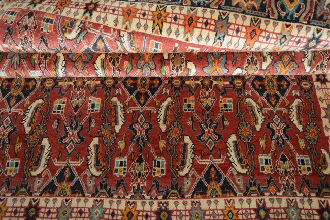 Shiraz - 8