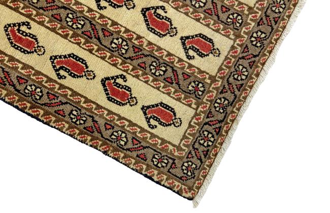 Shiraz - 3