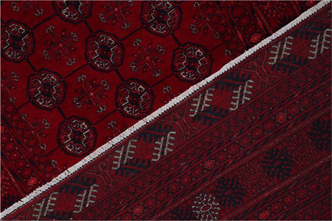 Afghan Mauri - 4
