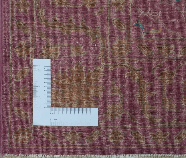 Ziegler Farahan - 8
