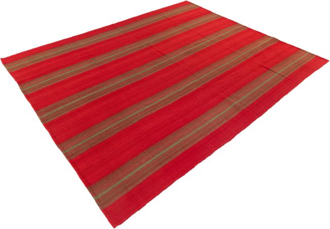 Elysian Limited - 1