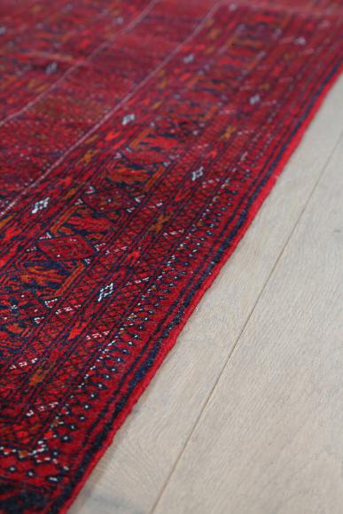 Afghan Mauri - 2