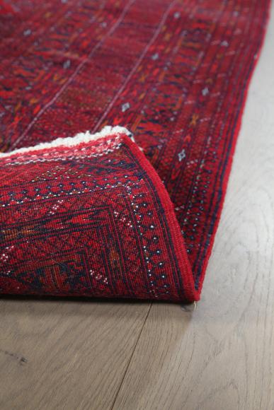 Afghan Mauri - 4