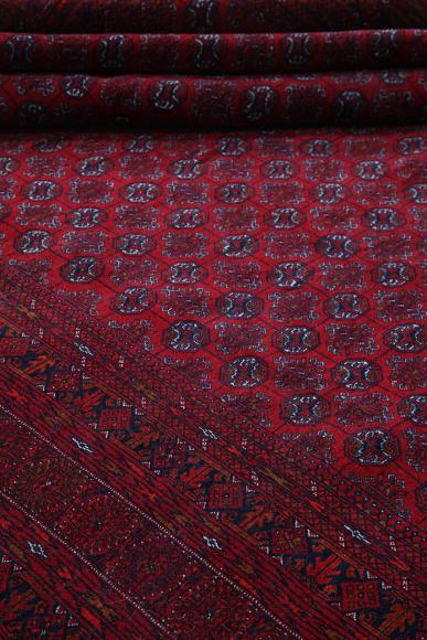 Afghan Mauri - 5