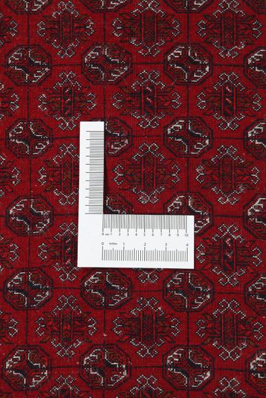 Afghan Mauri - 6