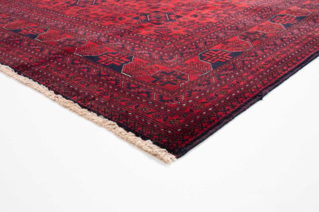 Khal Mohammadi Belgique - 2