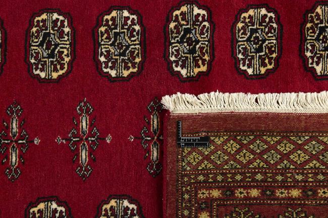 Pakistan Buchara 2ply - 1