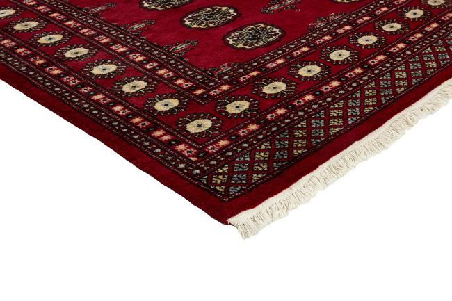 Pakistan Buchara 2ply - 3